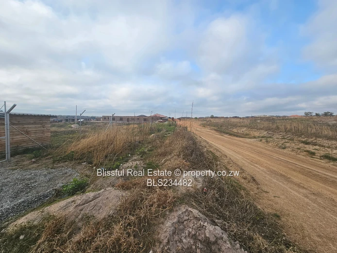 Donnybrook stand for sale