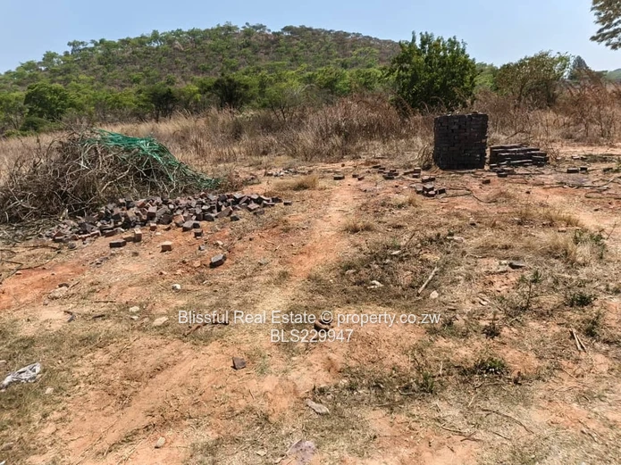 Carrick creigh stand for sale