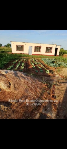 norton, damofalls house for sale (Sole Mandate)